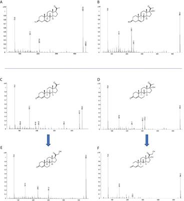 Corticosteroid Biosynthesis Revisited: No Direct Hydroxylation of Pregnenolone by Steroid 21-Hydroxylase